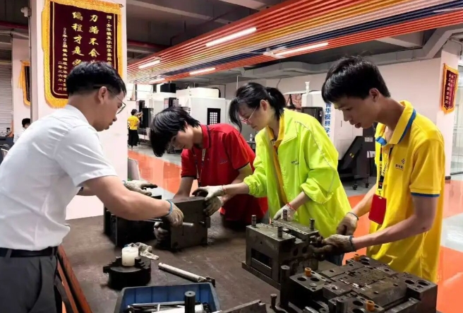 毕业不用陷入内卷！零基础学技术，走出求职死胡同